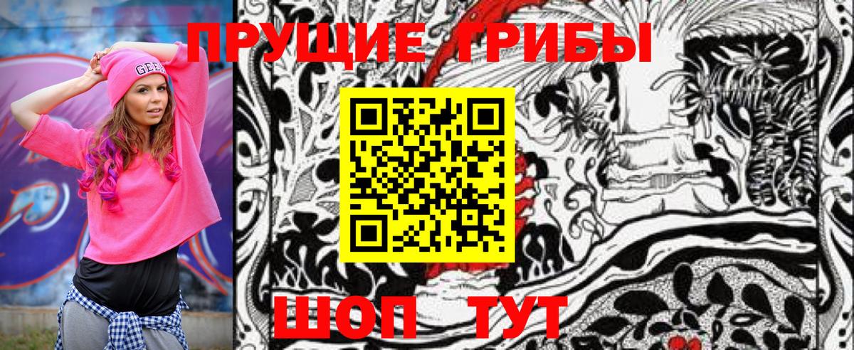 Псилоцибиновые грибы Magic Shrooms  Вход с VPN  Псилоцибиновые грибы Magic Shrooms  Электросталь 