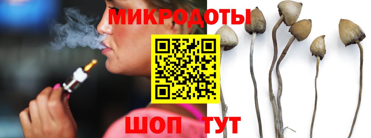 Псилоцибиновые грибы MAGIC MUSHROOMS Электросталь